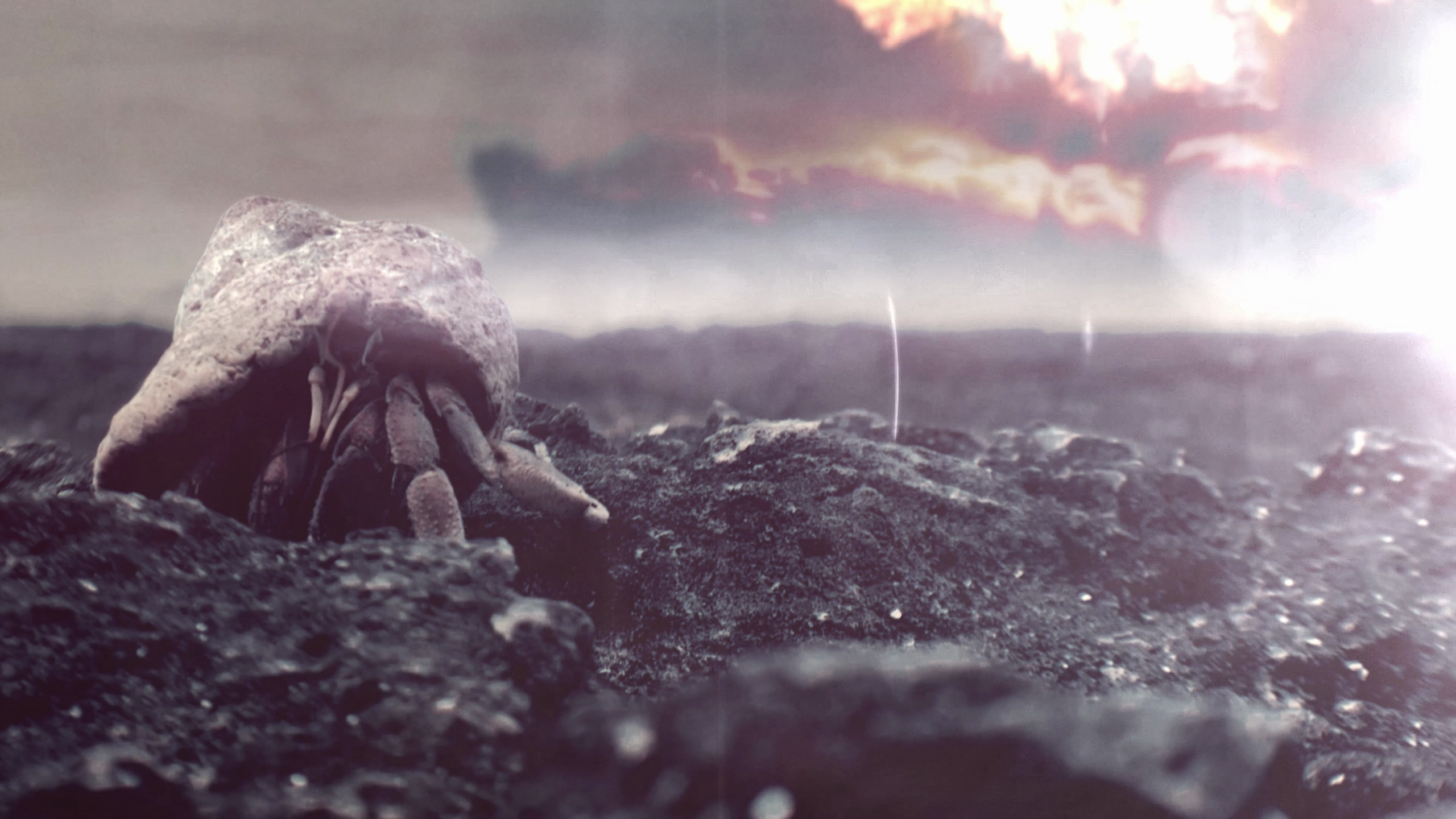 Fangataufa 26/01/1996